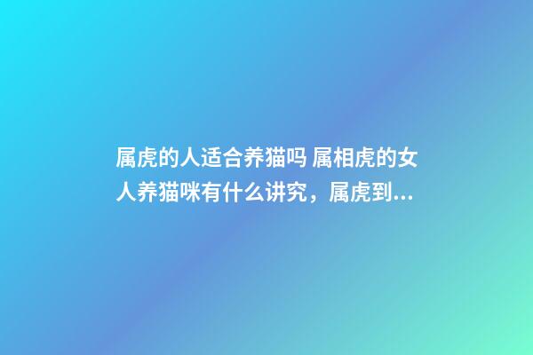 属虎的人适合养猫吗 属相虎的女人养猫咪有什么讲究，属虎到底能不能养猫-第1张-观点-玄机派